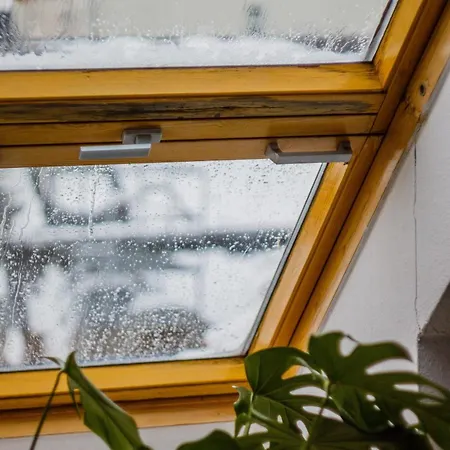 Apartment Familienfreundliche 3-raum-fewo Im Zentrum - Komfort & Stil *